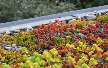 the cost of Langley Vale green roof installation
